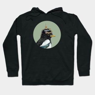 Yellow-billed magpie Hoodie